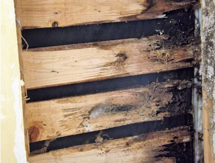 インターフォンの画像